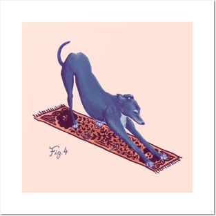 Downward Facing Greyhound Posters and Art